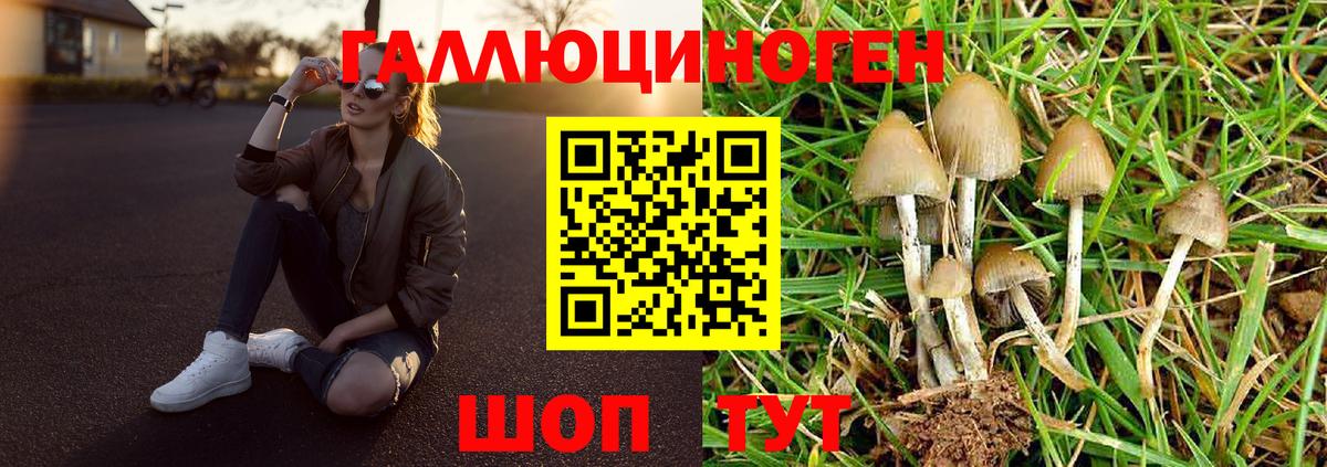 Каспийск  Псилоцибиновые грибы ЛСД  Псилоцибиновые грибы Cubensis  Вход с VPN 